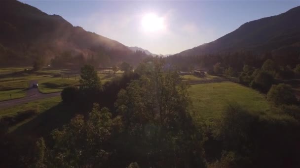 초원의 이무성 꼭대기 날면서 안개를 날아간다 아름다운 지대에서 가을의 숨쉬기에 — 비디오