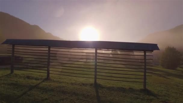 美しい秋の朝の霧の中で汚れた牧草地の端にヘイスタック 高山地方の黄金の光と太陽に向かって緑豊かなトウヒの森の中で2本の直線状の干し草の上を飛行する — ストック動画