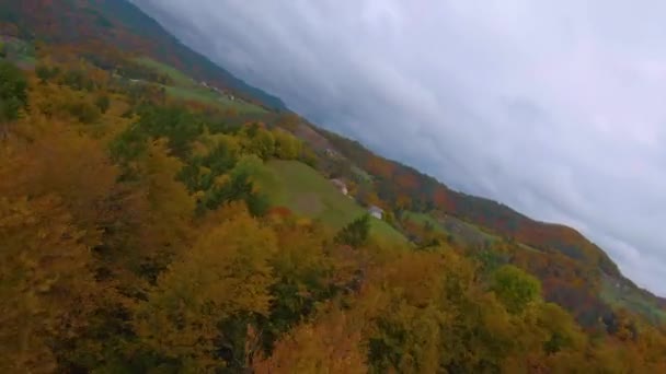 Güzel Sonbahar Renklerinde Bir Ormanla Kırsal Bölgede Hızlı Bir Şekilde — Stok video