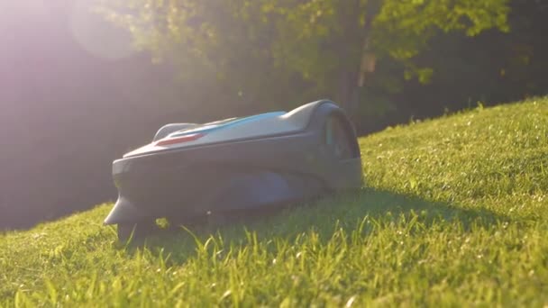 Ljubljana Slovenia July 2022 Close Robotic Lawn Mower Cutting Green — Vídeos de Stock