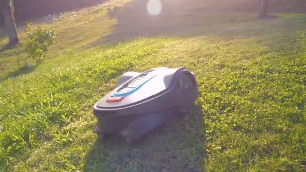 Close Lawn Mower Working Autonomously While Cutting Grass Sloping Terrain — Video Stock