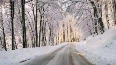 Etrafı karla kaplı orman ağaçlarıyla çevrili yol boyunca sürüyorum. Taze kar yağdıktan sonra güzel bir kış günü. Dikkatli sürün kaygan virajlı kış yolu boyunca karlı ormanlık alanda.