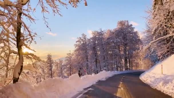 Slow Motion Gorgeous Day Drive Hilly Countryside Fresh Snowfall Winter — Vídeos de Stock