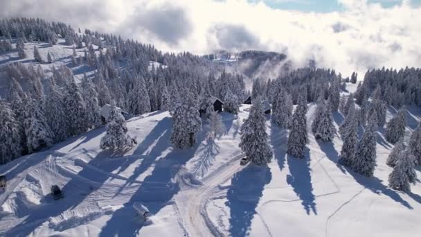 Aerial Idyllic Mountain Huts Alpine Landscape Fresh Blanket Snow Cute — Vídeo de Stock