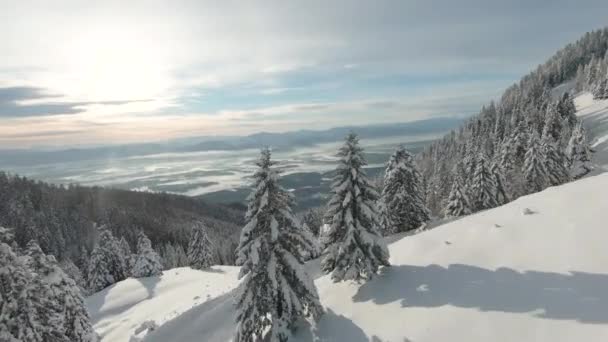 Fpv Drone Latanie Między Śnieżnymi Drzewami Górską Bajką Zimową Zimowa — Wideo stockowe