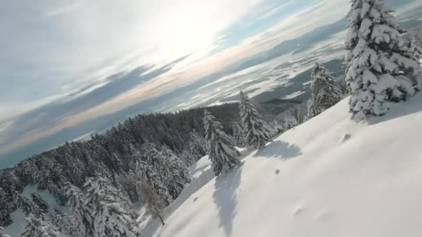 Fpv Drone Sněhem Pokrytý Horský Les Nádherný Výhled Zasněžené Údolí — Stock video