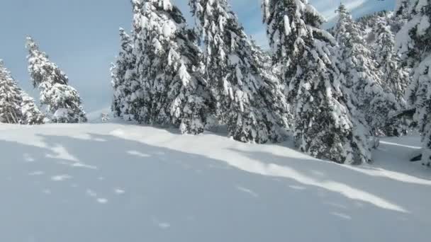 Fpv Drone 白いグレーズと木造住宅の間で壮大な雪に覆われたスプルース 豪華な高山の風景の中に冬の不思議の国 真冬の新雪に覆われた山の森と牧草地 — ストック動画