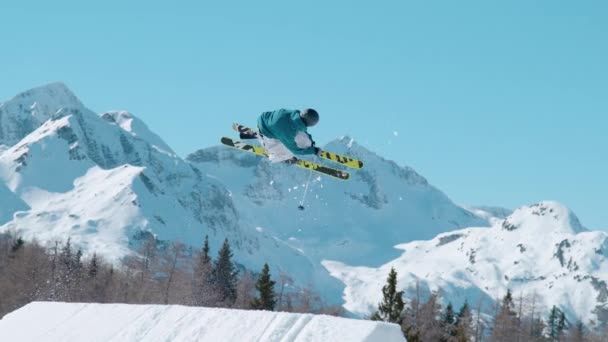 Vogel Bohinj Julian Alps Slovenien Mars 2022 Slow Motion Manlig — Stockvideo