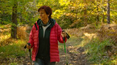 Elderly Caucasian woman listens to music while trekking down a forest trail. Female retiree unwinds by listening to an amusing podcast and exploring the colorful autumn forest.