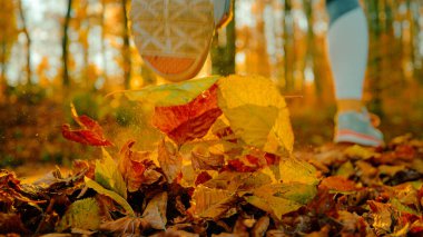 LENS FLARE, CLOSE UP, LOW ANGLE: Scenic shot of an energetic young woman running across the fall colored woods at golden sunrise. Female runner jogs along an empty forest trail covered in leaves