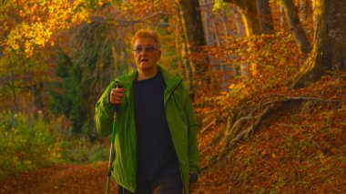 CLOSE UP: Senior female observes nature while trekking along an empty path leading through the fall colored woods in Slovenia. Elderly woman walks along a scenic forest trail at golden autumn sunset.