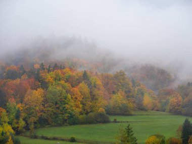 AERIAL: Stunning colourful forest with burning turning leaves on misty autumn day. Fog covering beautiful vividly coloured forest trees on a misty morning in fall. Mysterious scenery on a foggy day
