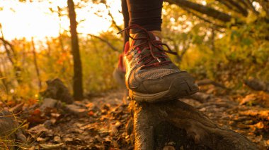 LOW ANGLE, CLOSE UP: Unrecognizable woman steps on a root while hiking in the woods at golden autumn sunrise. Female hiker steps on roots while exploring the hiking trails on a sunny fall evening.