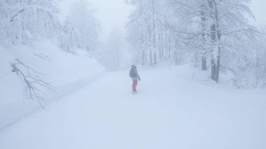 Freeride snowboarder rides along a groomed ski resort trail leading through the foggy forest in the Slovenian Julian Alps. Female tourist rides her snowboard across the wintry woods.