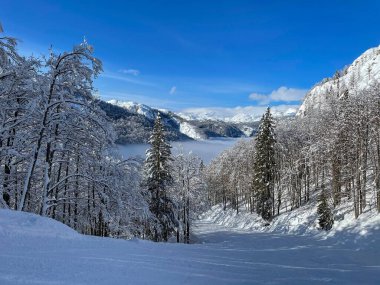 Empty groomed ski resort slope runs through the wintry forest in the Julian Alps. Winter sunshine illuminates the idyllic wintry landscape at a ski resort in the picturesque Slovenian mountains.