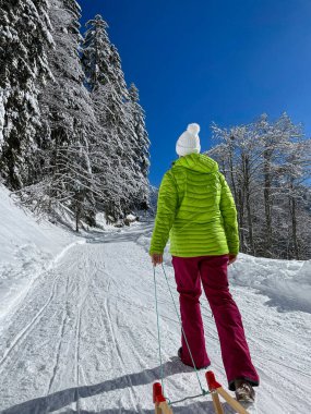 VERTICAL: Unrecognizable young woman sledding in the Julian Alps on a sunny day walks up a groomed forest trail. Unknown active female tourist exploring the Alps hikes uphill with her wooden sleigh.