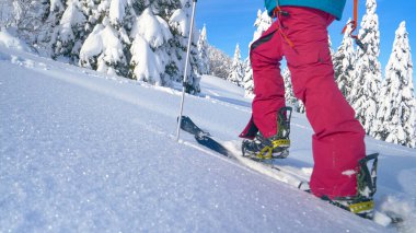 Bohinj 'de tanınmayan genç bir kadın taze toz karla kaplı bir tepeye tırmanıyor. Aktif dişi turist, kışın kırsalda bir dağa tırmanıyor. Kadın kayak turu.