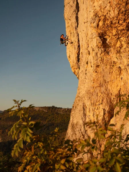 Female rock climber scales a towering cliff in the sunlit countryside of Slovenia on a sunny autumn evening. Action shot of a woman climbing up a rock wall in Crni Kal at fall sunrise.