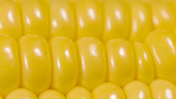 Macro Dof Yellow Lines Ripe Corn Kernels Shine Bright Studio —  Fotos de Stock