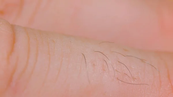 Macro Dof Detailed Close Shot Unrecognizable Man Hairy Knuckles Focused — Foto Stock