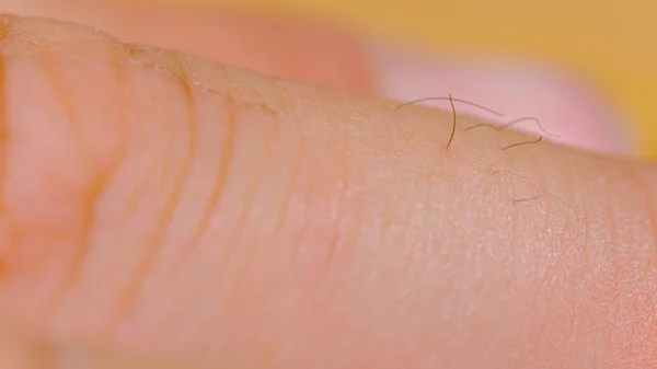Macro Dof Focused Macro View Male Fingers Rugged Skin Black — Photo