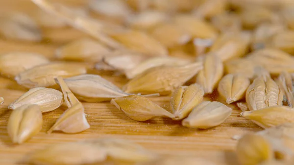 Macro Dof Dried Seeds Wheat Get Scattered Surface Wooden Kitchen — Stock Photo, Image