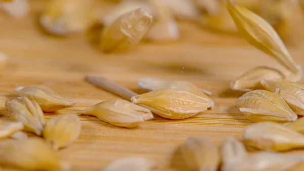 Macro Dof High Detailed Close Shot Tiny Grain Seeds Falling — Zdjęcie stockowe