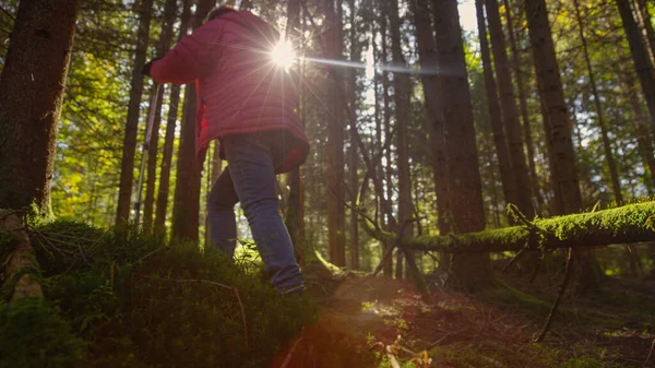 Elderly Female Trekker Explores Moss Covered Woods Sunny Spring Day — Φωτογραφία Αρχείου