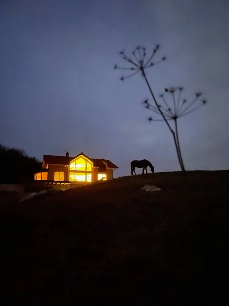Vertical Silhouette Bright Lights Emanating Large House Countryside Illuminate Lone — Foto de Stock