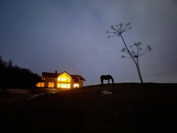 Silhouette Scenic Shot Horse Pasturing Night Illuminated Country House Bright — Foto de Stock