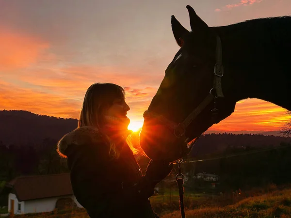 Молодая Женщина Приближается Своей Лошади Касается Морды Захватывающем Закате Золотые — стоковое фото