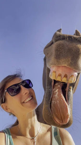 Female Horseback Rider Smiles Laughs Camera Her Adorable Chestnut Stallion — Stock Photo, Image