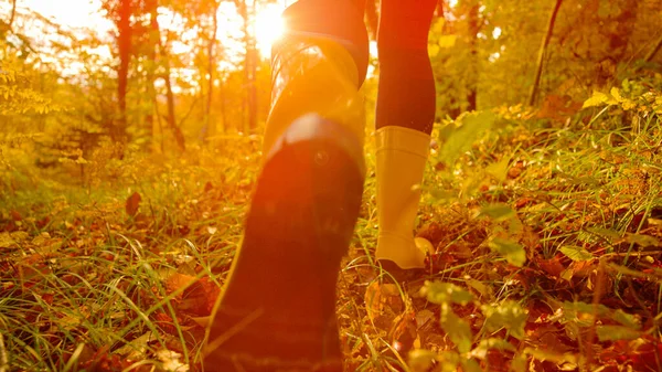LOW ANGLE, CLOSE UP, LENS FLARE: Energetic young woman wearing yellow rubber boots runs in idyllic forest changing colors in autumn. Cinematic shot of girl in boots running in the fall colored woods.