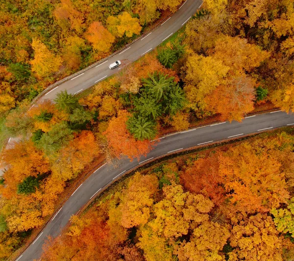 Top White Car Cruises Empty Road Leading Forest Changing Leaves — Stockfoto