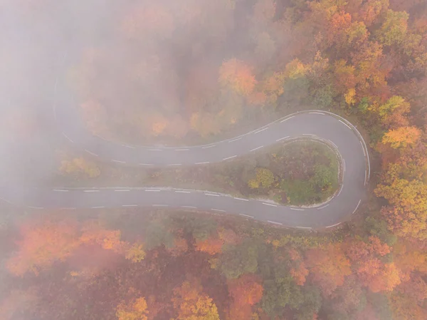Top Flying Hairpin Turn Scenic Forest Road Foggy Fall Day — Stock Photo, Image