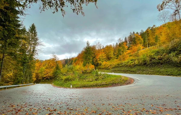 Empty Switchback Road Climbs Gorgeous Autumn Colored Hill Scenic Slovenian — Zdjęcie stockowe