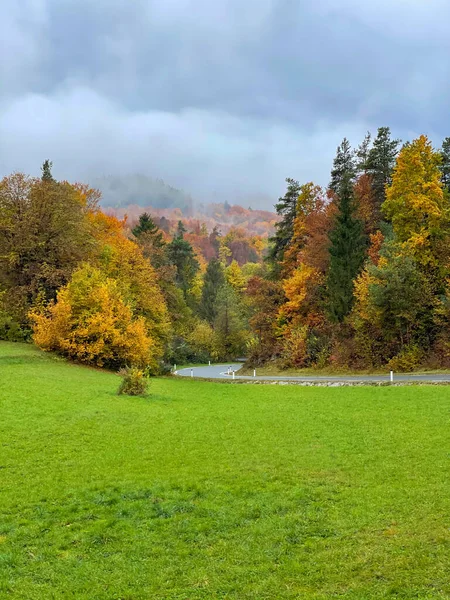 Empty Asphalt Road Runs Lush Green Meadow Fall Colored Forest — Stok fotoğraf