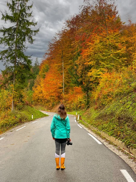 Young female photographer stands in the middle of an idyllic forest road surrounded by the fall colored nature. Woman photographer finds inspiration during autumn road trip.
