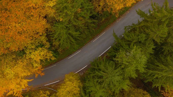 Flying Remote Road Crossing Gorgeous Woods Turning Leaves Peak Autumn — Stock Photo, Image