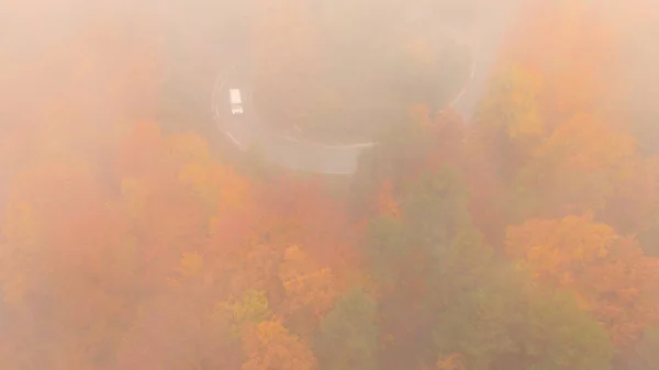 Flying White Van Cautiously Driving Empty Forest Road Foggy Autumn — Foto de Stock