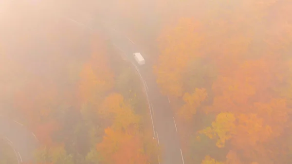 Drone Point View Car Scenic Journey Exploring Vivid Woods Changing — Foto de Stock