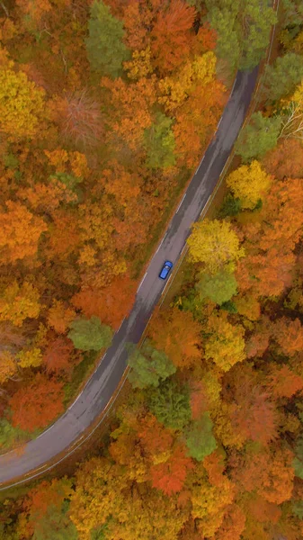 Flying Tourist Car Crossing Gorgeous Woods Turning Leaves Fall Cinematic — Stockfoto