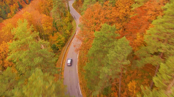 Vehicle Drives Empty Scenic Route Winding Gorgeous Autumn Colored Woods — Stock Photo, Image