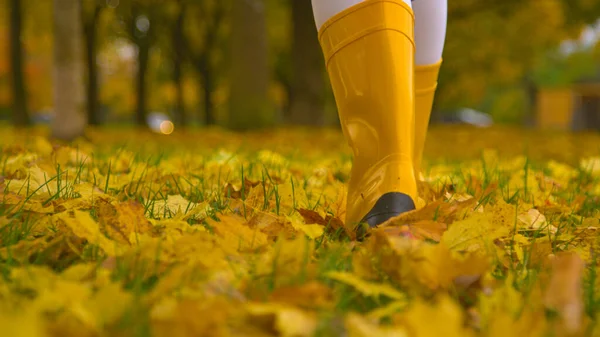 Close Low Angle Dof Young Female Walks Picturesque Grassy Trail — Stock Photo, Image