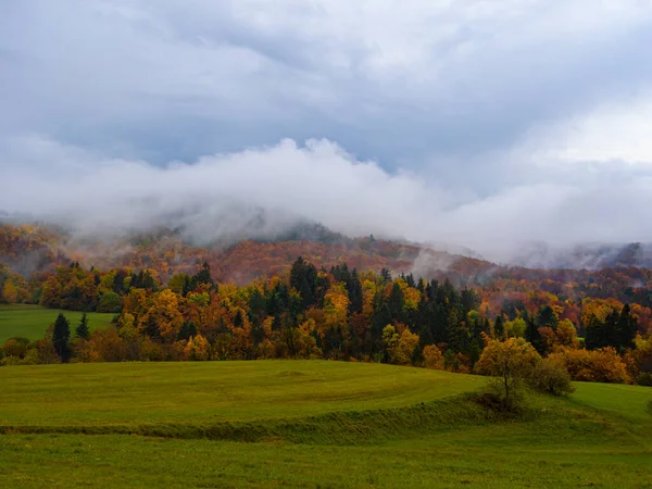 Thick White Fog Rolling Forest Hills Turning Leaves Beautiful Autumn — Stock Photo, Image