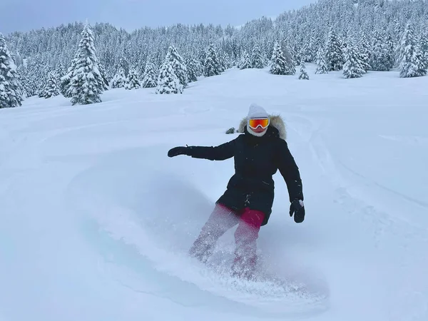 Young Female Snowboarder Shreds Fresh Powder Snow Covering Backcountry Julian — Photo