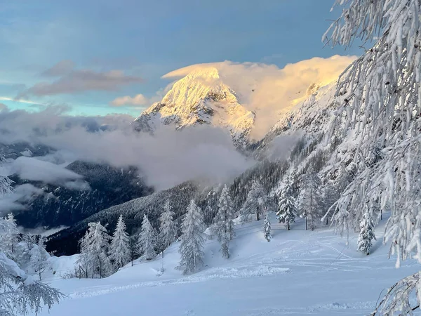 Picturesque shot of the wintry landscape with a snowy coniferous forest and a mountain enshrouded in fog on a sunny winter evening in the Julian Alps. Sunrise in beautiful wintry Slovenian mountains.