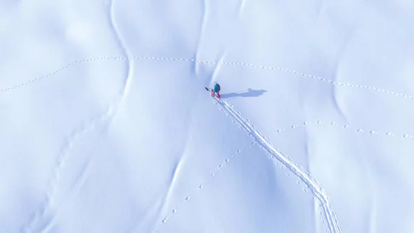 トップダウン 晴れた冬の日には スプリットボーダートレッキングの上を飛んでください 若い女性の観光客は 牧歌的なスロベニアの山々でのオフスノーボード旅行中に雪の丘を登ります — ストック写真