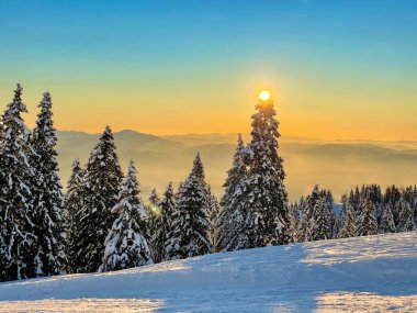 Golden winter evening sun sets behind a spruce forest and mountains in the gorgeous Julian Alps. Scenic shot of the snowy alpine landscape in rural Slovenia at picturesque sunset. Sunrise in the Alps.