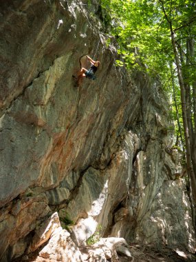 VERTICAL: Strong young woman top rope climbs up a challenging rocky wall in the lush green woods. Athletic female tourist is climbing up a rocky wall in a cool forest in the Slovenian countryside.
